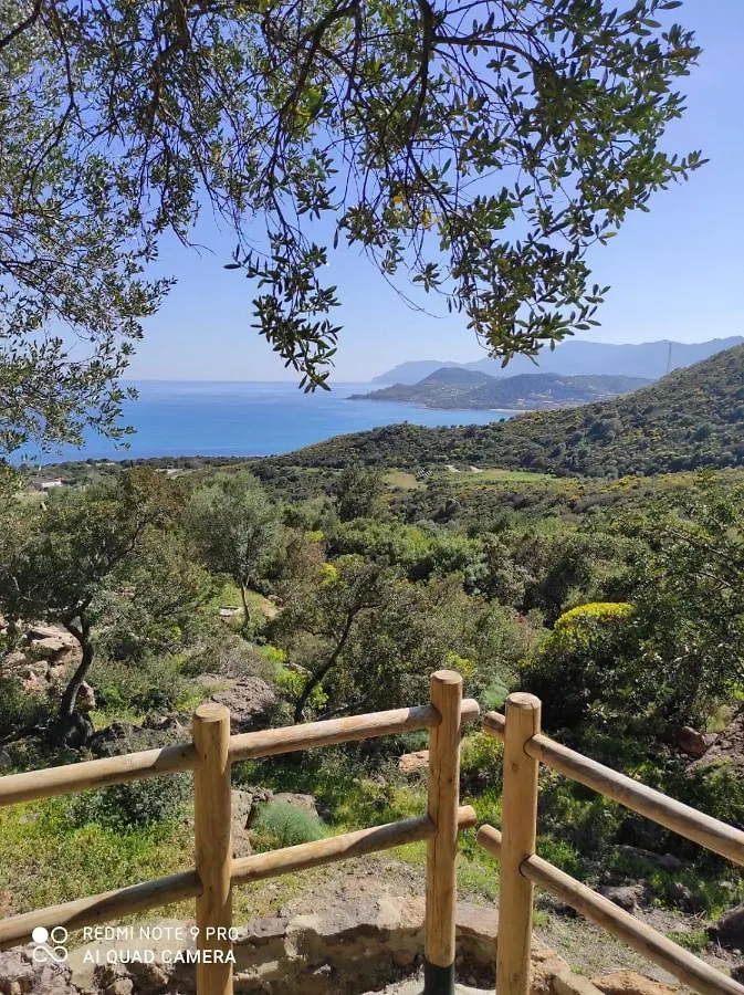 Сasa de vacaciones Villa Dammar Tertenìa Italia